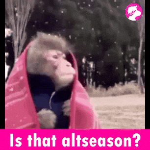 Is that altcoin season