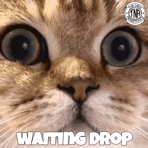 Waiting Drop