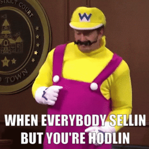 when everybody selling but you are hodling GIF
