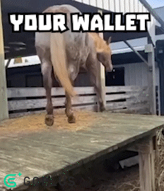 Your Wallet