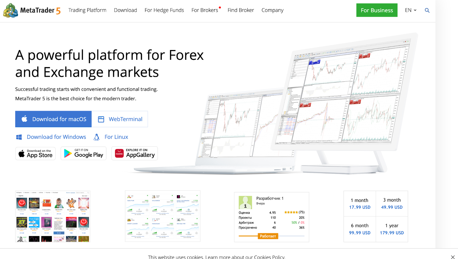 MetaTrader 5 (MT5) dashboard 