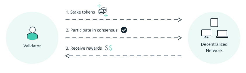 Staking process scheme. Source: Ledger Academy