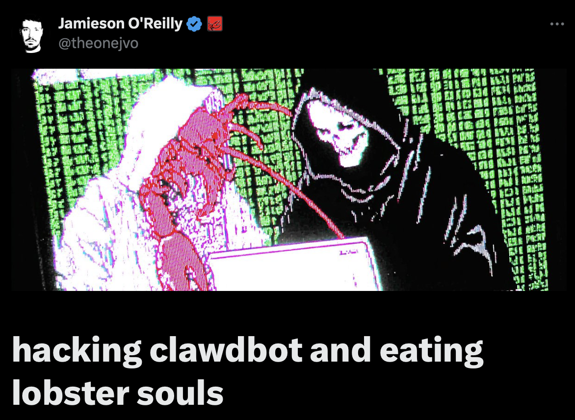 Jamieson O'Reilly Cover For This Topic.