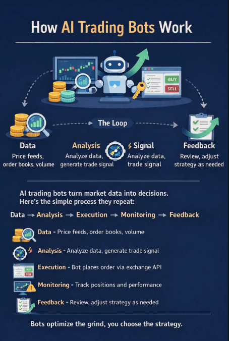 How AI trading bots work. Source: The Coin Bureau