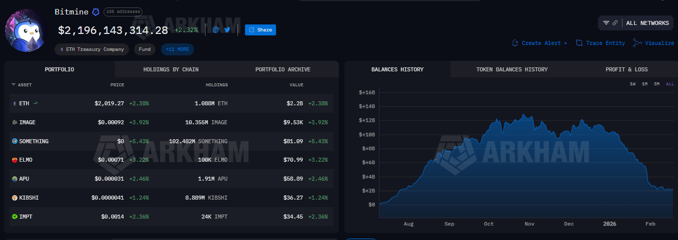 Bitmine BMNR Arkham portfolio    Source: Arkham 