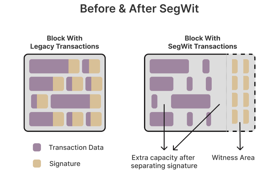 Segwit Model.