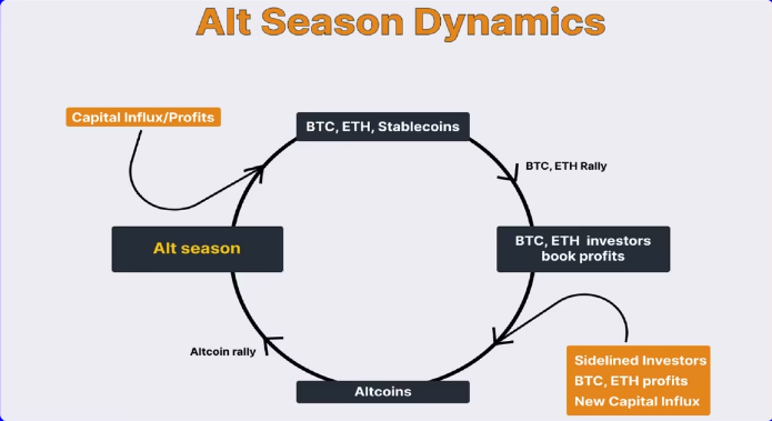 Altseason Cycle.
