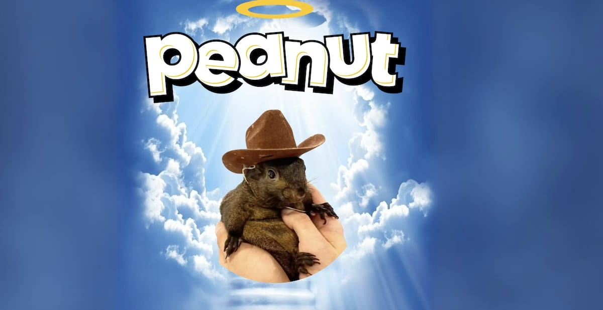 Pnut the Squirrel (PNUT)