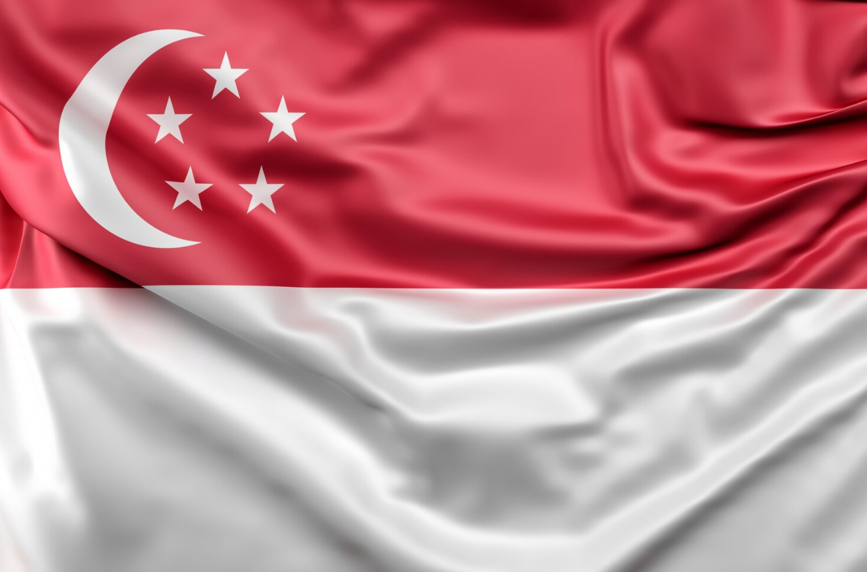 Singapore flag