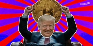Bitcoin Hits New Record As Investors Are Bullish On Trump Win