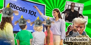 Too Many Crypto Dumbos, Trump and El Salvador, Bitcoin KOs Microstrategy, and CFTC to Oversee Сrypto from SEC