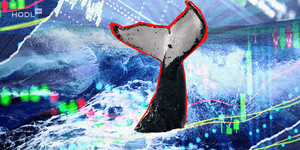 Two Bitcoin Wallets Transfer 20,000 BTC After 14 Years of Inactivity