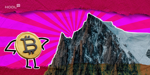 Altcoins Typically Crash Before They Soar. Is ‘Altseason 3.0’ Next?