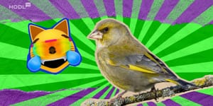 Canary Capital Files for Spot MOG ETF as XRP Fund Hits Nasdaq