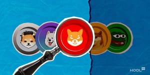 Memecoins: A Guide to Choosing the Right One