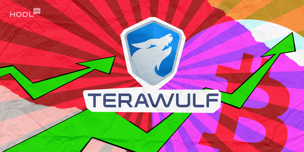 TeraWulf Revenue Rises as 2025 Loss Widens