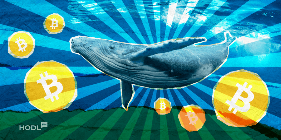 Bitcoin Shows Resilience as Whales Return to Buying