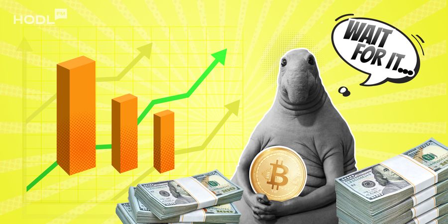 hodl-post-image