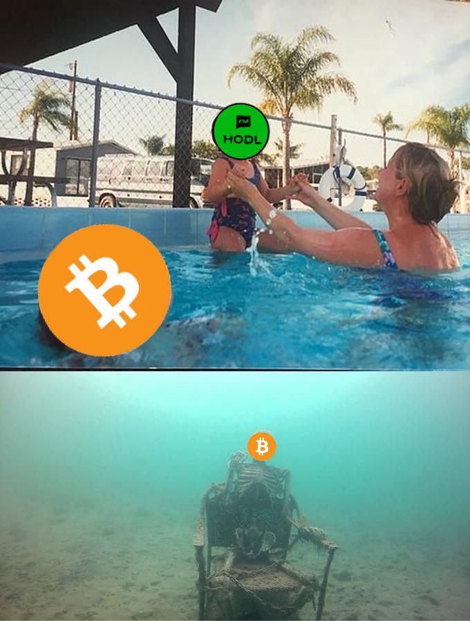 hodl winner